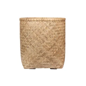 Zayn XL, Bamboo