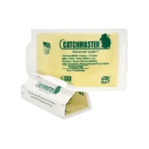 Catchmaster lijmplank groot pindageur muizen 72 stuks