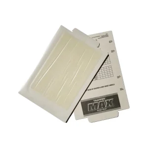Bell trapper lijmplank pinda muizen